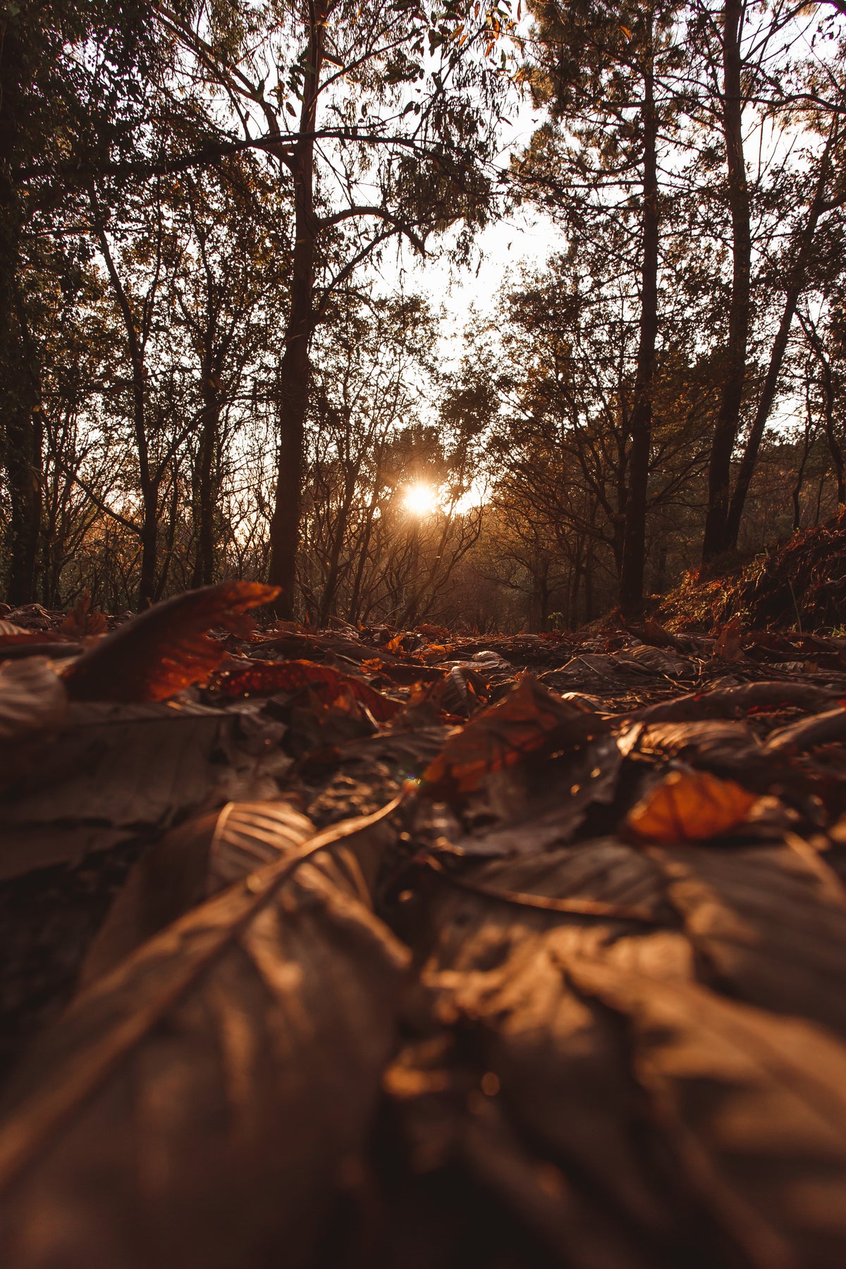 GEAR UP FOR FALL